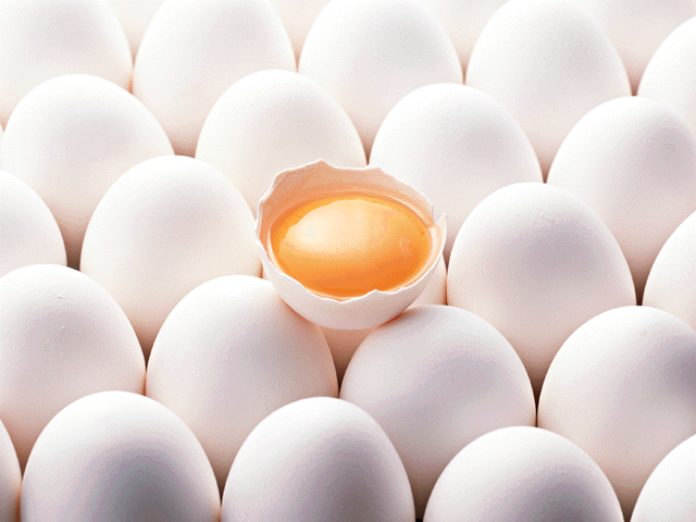 乾燥卵